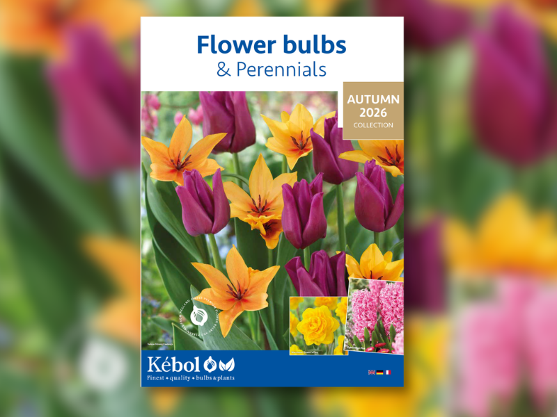 A picture of the front cover of the Flower Bulbs and Perennials catalogue.