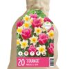 Colour your Garden Courage