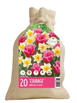 Colour your Garden Courage
