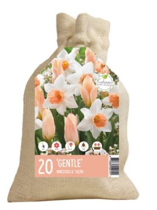 Colour your Garden Gentle