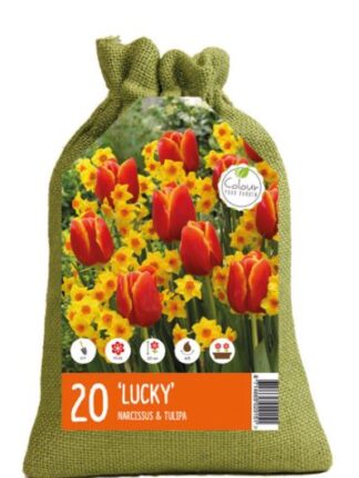 Colour your Garden Lucky