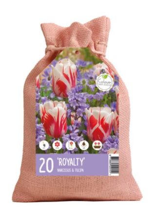 Colour you Garden Royalty