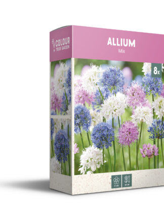 Allium Mixed - PB