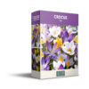 Crocus Botanical Mixed - PB