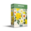 Narcissus Mixed - PB
