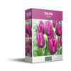 Tulipa Negrita - PB
