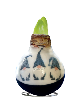 PO-06 Gnomes Trio in carton gift box / red flower