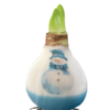 PO-05 Blue Snowman in carton gift box / red flower