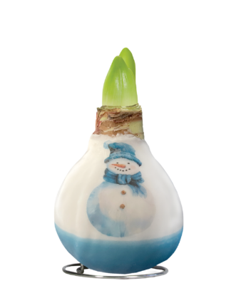 PO-05 Blue Snowman in carton gift box / red flower