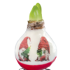 PO-04 X-Mas Gnomes in PET gift box / red flower