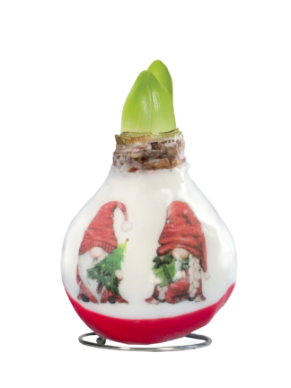 PO-04 X-Mas Gnomes in carton gift box / red flower