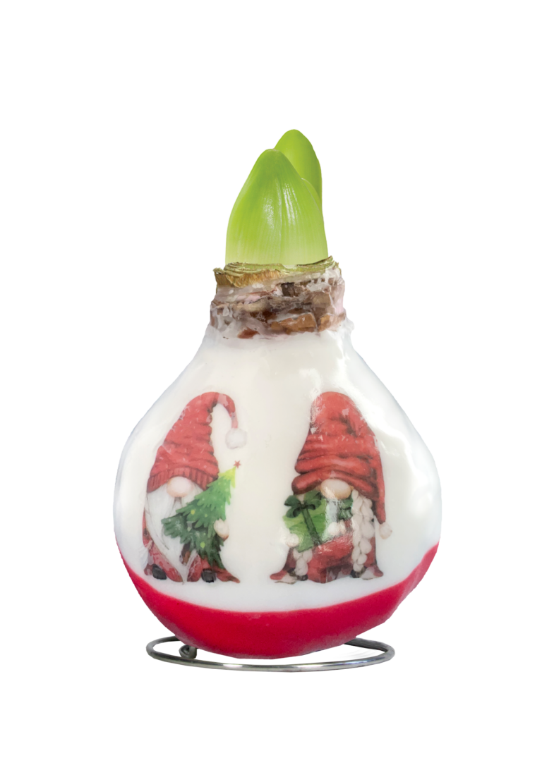 PO-04 X-Mas Gnomes in carton gift box / red flower