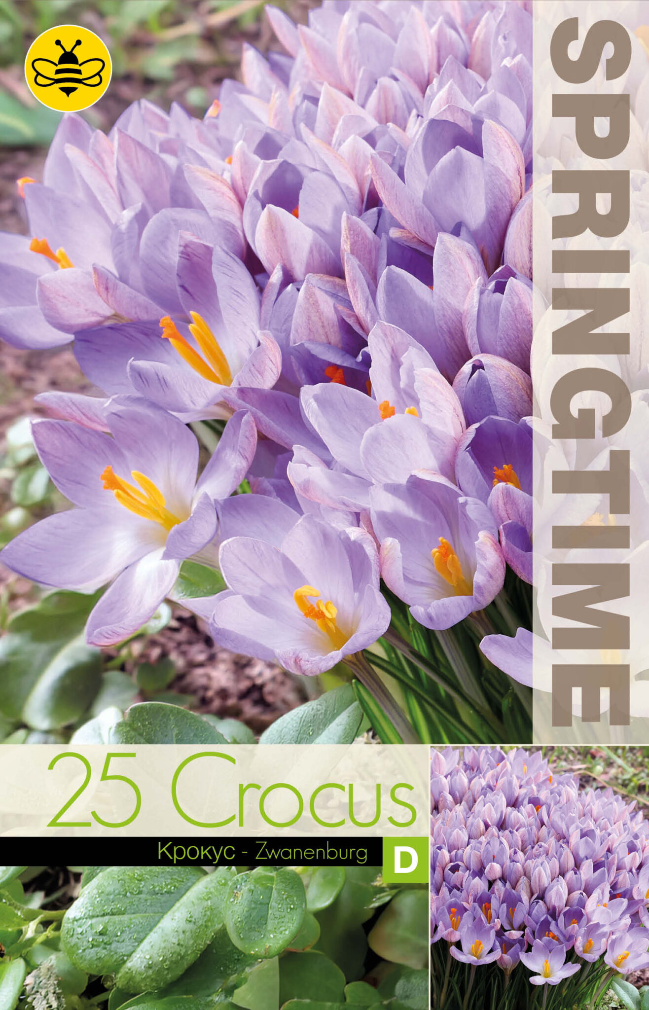 Crocus Zwanenburg