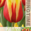 Tulipa Jan Seignette
