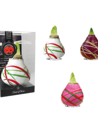 AR-01 mixed colours in PET gift box / red flower