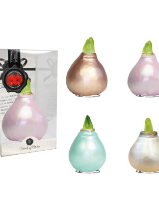 CE-01 mixed colours in PET gift box / red flower