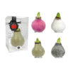 GA-01 mixed colours in PET gift box / red flower