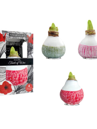 LA-01 mixed colours in carton gift box / red flower