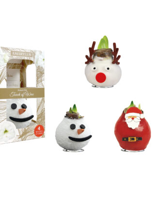 SE-14 mixed varieties in carton gift box / red flower