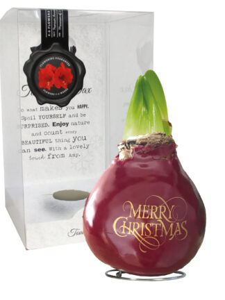 SE-06 in PET gift box / red flower