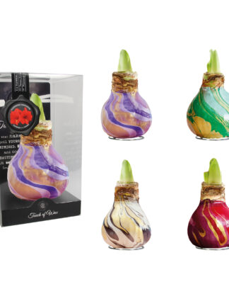 SW-01 mixed colours in PET gift box / red flower