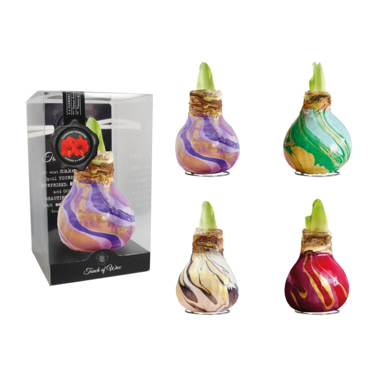 SW-01 mixed colours in PET gift box / red flower