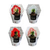 AM-02 mixed colours / 4 colours x 3