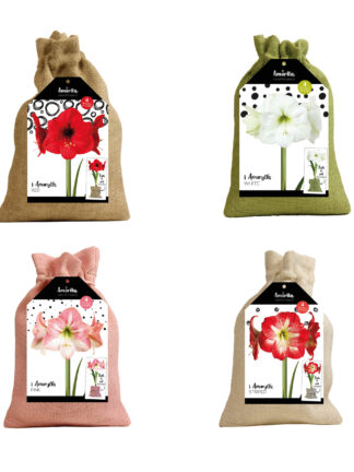 AM-02 mixed colours / 4 colours x 3