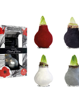 FA-01 mixed colours in carton gift box / red flower