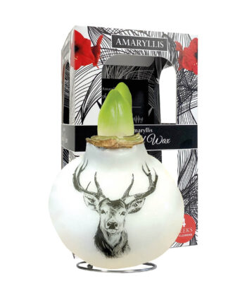 PO-02 Rendeer in carton gift box / red flower