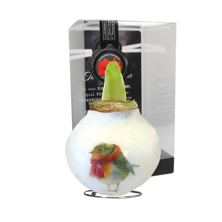 PO-01 Robin in PET gift box / red flower