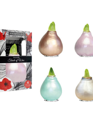 CE-01 mixed colours in carton gift box / red flower