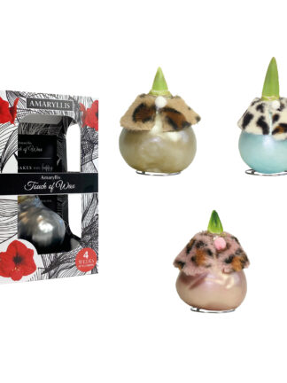 DR-02 mixed colours in carton gift box / red flower