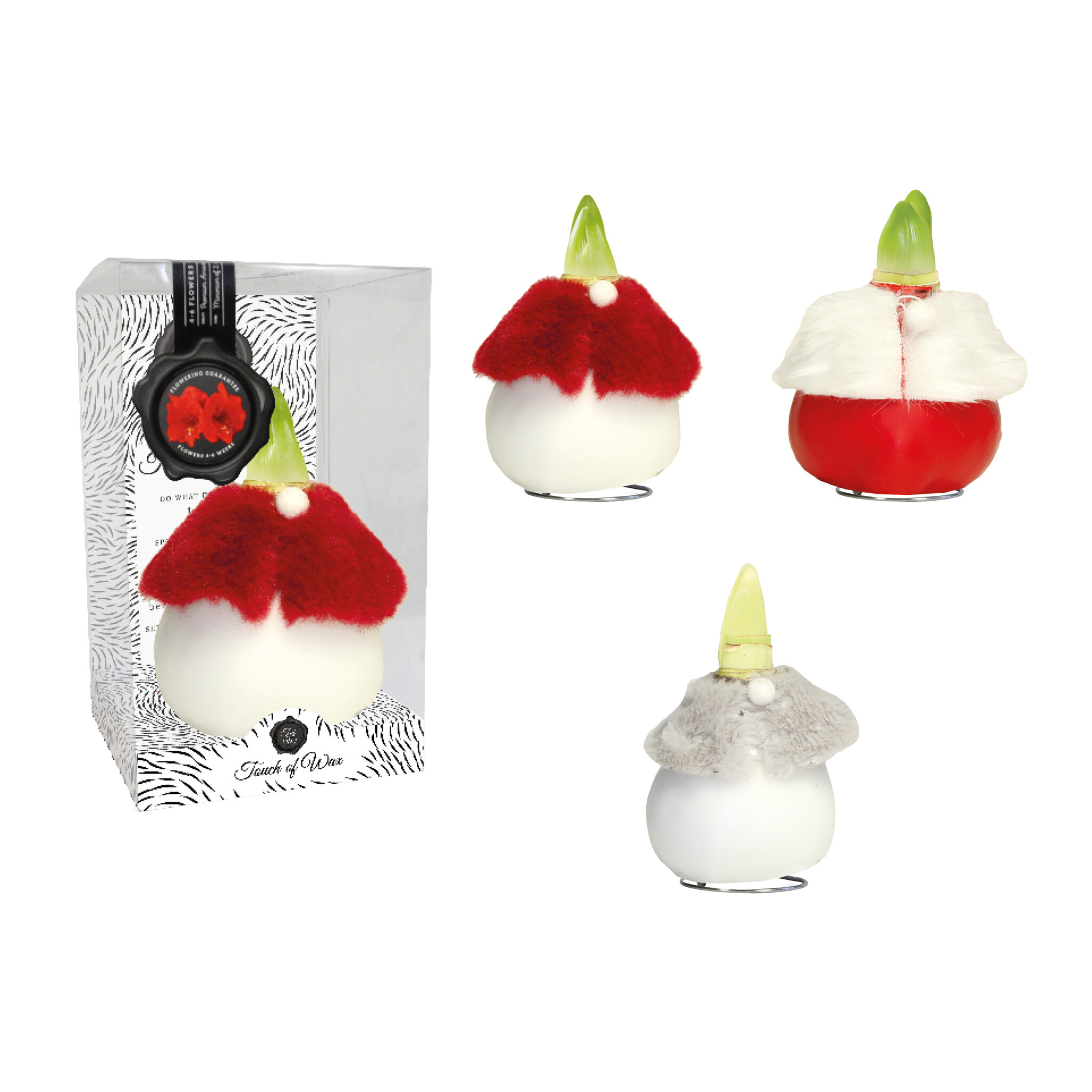 DR-03 mixed colours in PET gift box / red flower