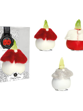 DR-03 mixed colours in PET gift box / red flower