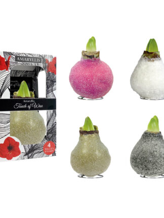 GA-01 mixed colours in carton gift box / red flower