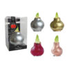 GL-01 mixed colours in PET gift box / red flower