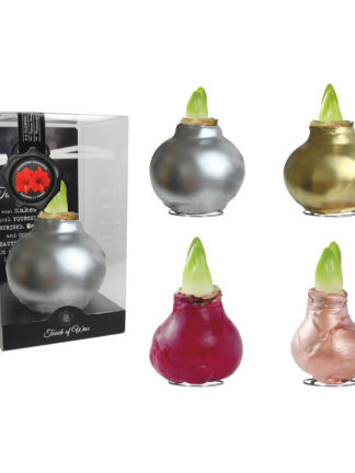 GL-01 mixed colours in PET gift box / red flower