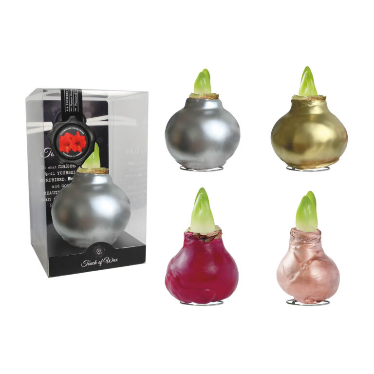 GL-01 mixed colours in PET gift box / red flower