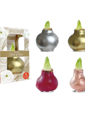 GL-01 mixed colours in carton gift box / red flower