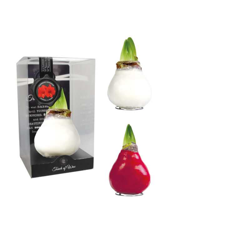 GL-02 mixed colours in PET gift box / red flower