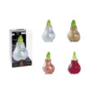 GLM-01 mixed colours in PET gift box / red flower
