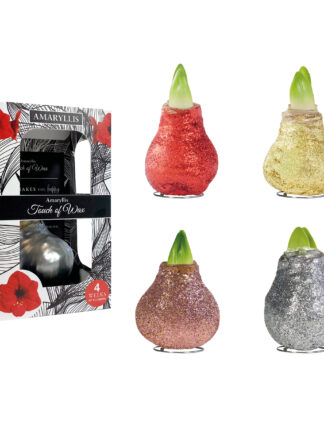 MA-01 mixed colours in carton gift box / red flower