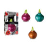 ME-01 mixed colours in carton gift box / red flower