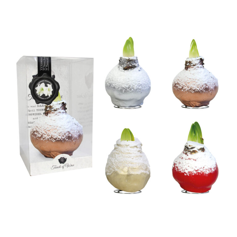 SN-01 mixed colours in PET gift box / red flower
