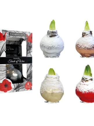 SN-01 mixed colours in carton gift box / red flower