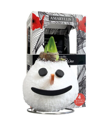 SE-03 in carton gift box / red flower