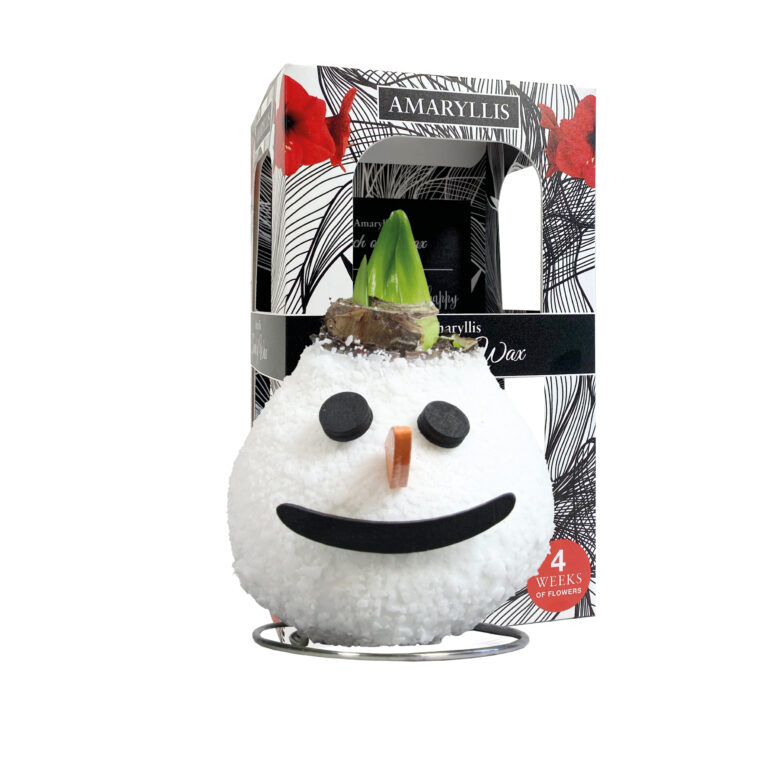 SE-03 in carton gift box / red flower