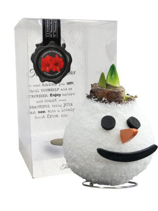 SE-03 in PET gift box / red flower