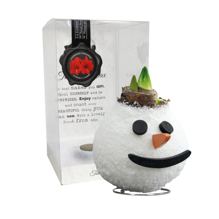 SE-03 in PET gift box / red flower